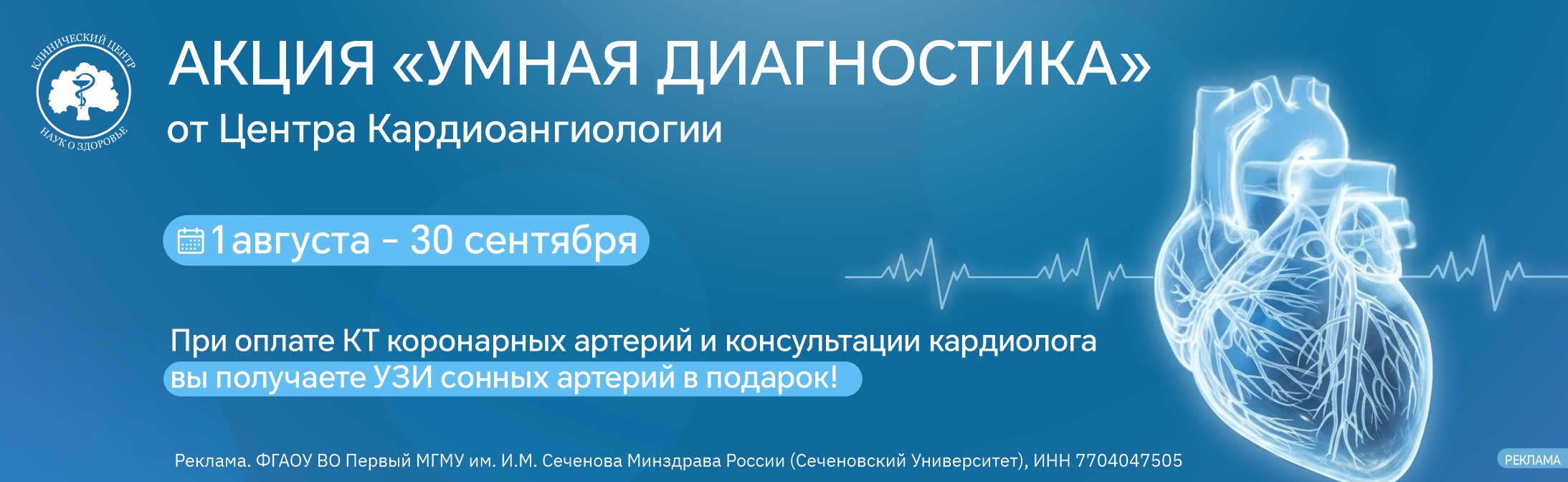 баннер.jpg